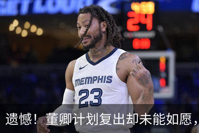 遗憾！董卿计划复出却未能如愿，观众失望难平